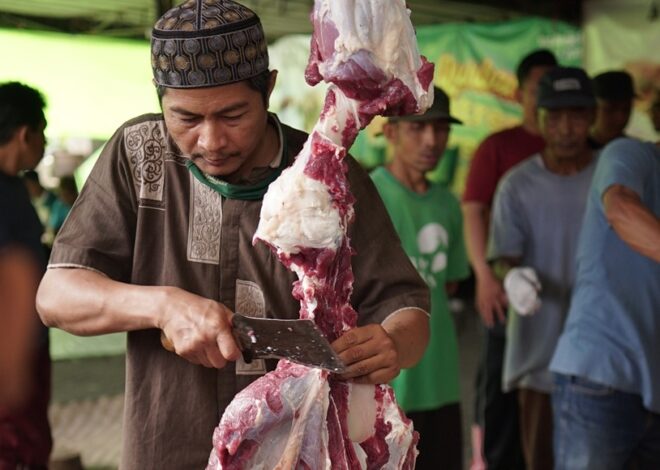 Cara Menyimpan Daging Kurban yang Baik dan Benar